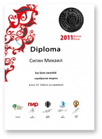Серебряная медаль ПИР 2011 г.