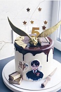 Торт Гарри Поттер – детские торты от сутдии «Бискотто»